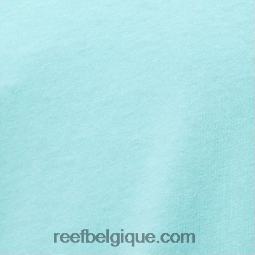 Hommes Reef bleu aruba t-shirt à manches courtes wellie 2H4Z0V578