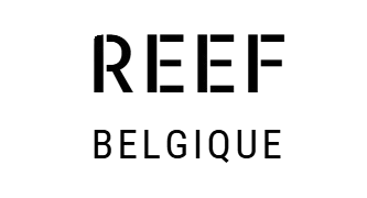 Reefbelgique